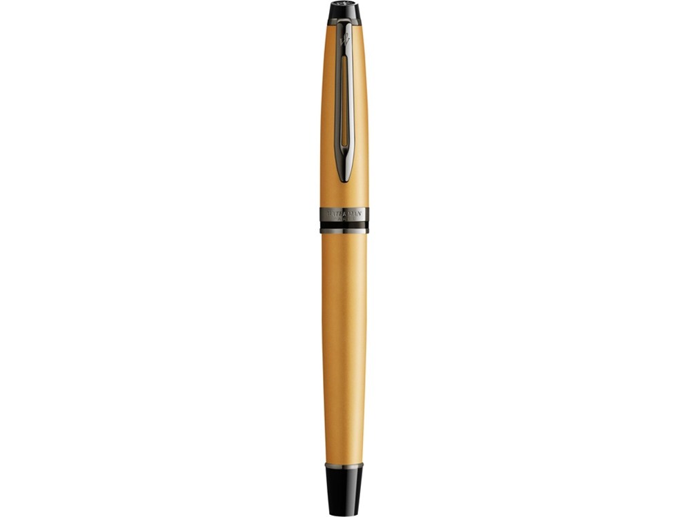 Ручка-роллер Waterman Expert GoldF BLK в подарочной упаковке