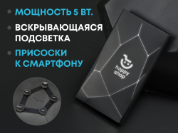 Портативное беспроводное зарядное устройство Geo Wireless, 5000 mAh, черный